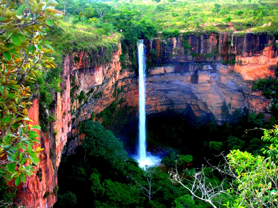 Cáceres (MT) recebe exposição Parque dos Dinossauros com entrada gratuita, Mato Grosso