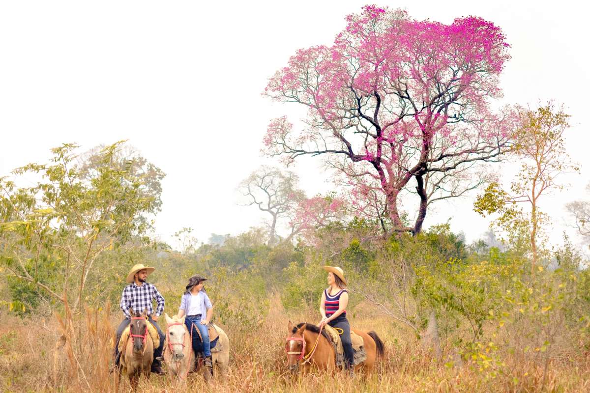 Pacotes MT Pantanal Hotel (02,03 e 04 dias) 2025