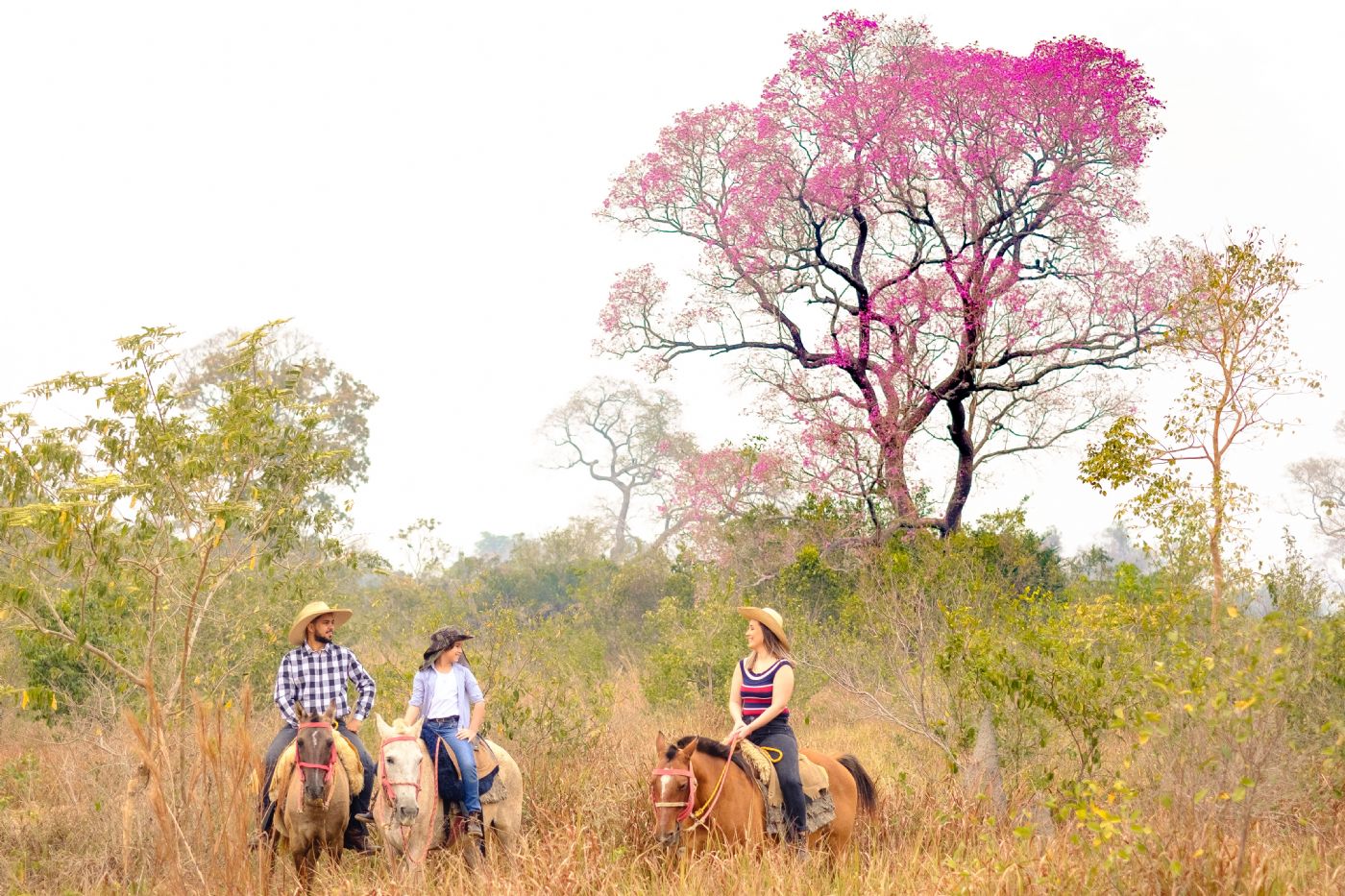 Mato Grosso Pantanal Hotel