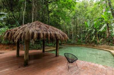 Jardim_da_AmazoÌ‚nia-3434_ta901j.jpg