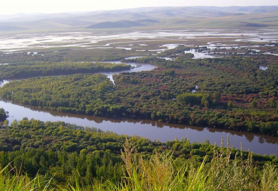 Unidades móveis estão atuando no resgate de animais atingidos pelo fogo no Pantanal